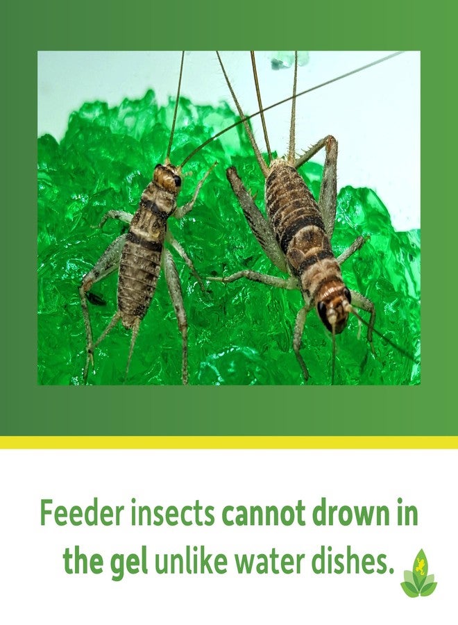 Josh's Frogs Insect Watering Gel (16 oz) - Image 4